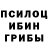 Героин хмурый Kukvachka
